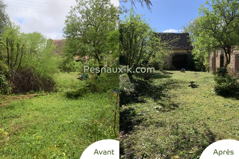 Avant / Après