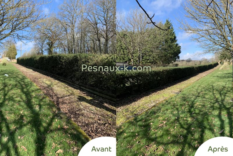 Avant / Après