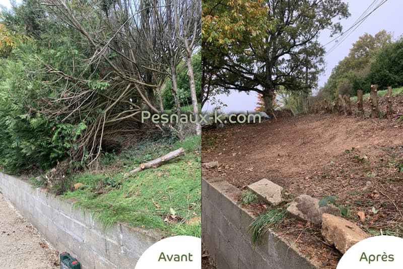 Avant / Après