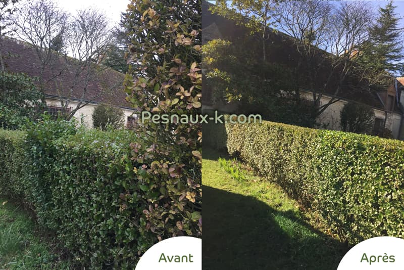 Avant / Après