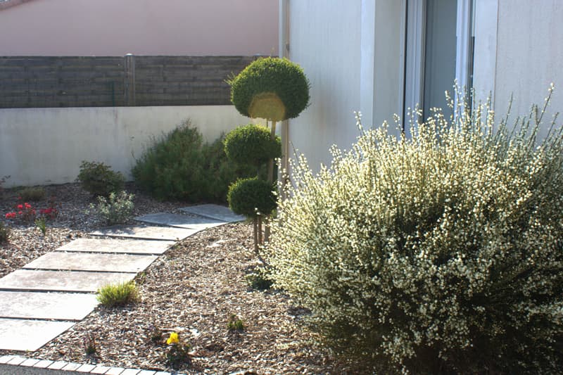 Nettoyage, création de terrain